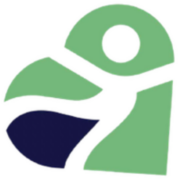 ancillaryparser.pages.dev favicon